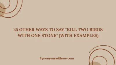 Other Ways to Say "Kill Two Birds with One Stone"